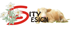 Viennese web design company City Design in Austria